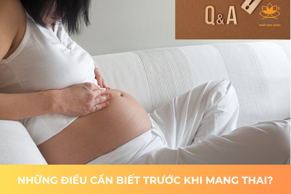 Những Điều Cần Biết Trước Khi Mang Thai 